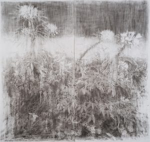 01 Mina Ghaziani 132.140 Cm Charcoal and Conte on Paper 2022 1 300x283 - Ten Days Like Flower 2 | Mina Ghaziani - Ten Days Like Flower 2 | Mina Ghaziani