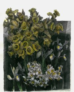 02 Kasra Golrang Narssis Iris 34.28 Cm Ink Watercolor Colored Pencil on Paper 2022 241x300 - Ten Days Like Flower 2 | Kasra Golrang - Ten Days Like Flower 2 | Kasra Golrang