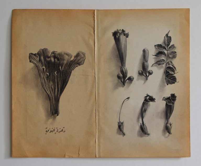 03 Morteza Pourhosseini 21.5.25.5 Cm Pencil on Paper 2020 768x634 - Group Exhibition | Ten Days Like Flower | Morteza Pourhosseini - Group Exhibition | Ten Days Like Flower | Morteza Pourhosseini