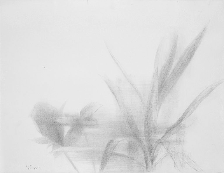 01 Hamidreza Andarz Pencil on Cardboard 50.65 Cm 2020 768x595 - Group Exhibition | Ten Days Like Flower 2 | Hamidreza Andarz - Group Exhibition | Ten Days Like Flower 2 | Hamidreza Andarz