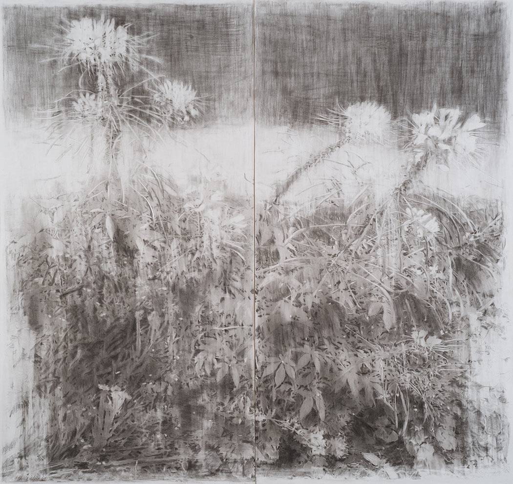 01 Mina Ghaziani 132.140 Cm Charcoal and Conte on Paper 2022 - Ten Days Like Flower 2 - Ten Days Like Flower 2